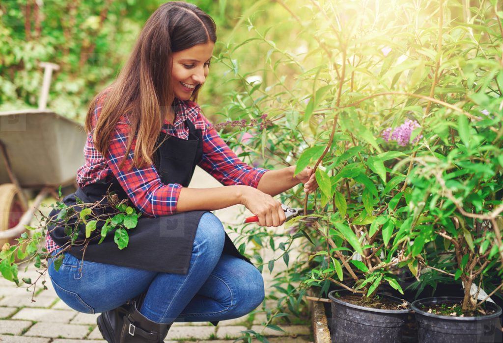 expert pruning services