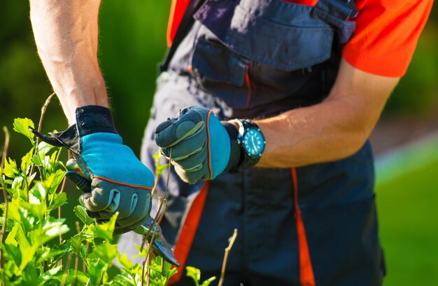 Best Precision Trimming Experts: Perfecting Every Cut for a Healthier Lawn